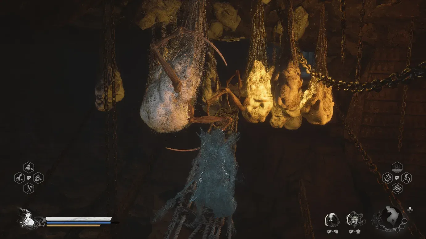 Cocoons